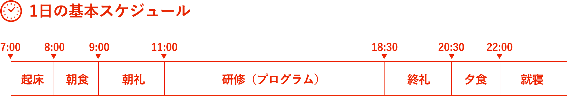 1⽇の基本スケジュール