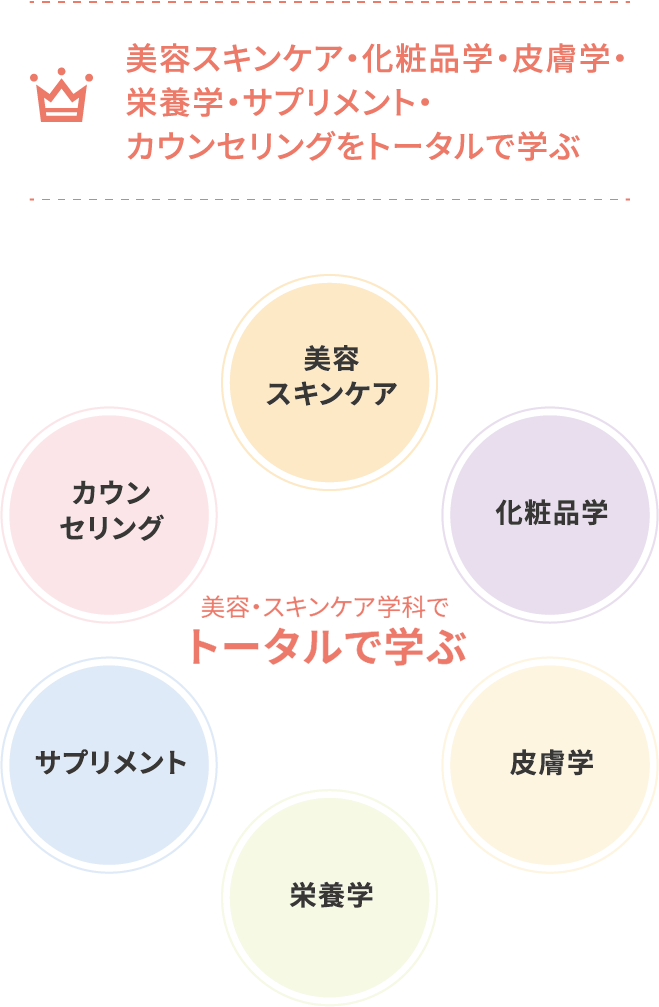 美容スキンケア・化粧品学・皮膚学・栄養学・サプリメント・カウンセリングをトータルで学ぶ
