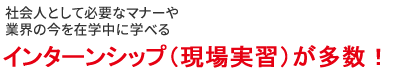 現場実習（インターンシップ）が就職に直結